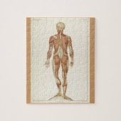  anatomieboekpagina's legpuzzel (Verticaal)