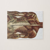  anatomieboekpagina's legpuzzel (Horizontaal)