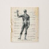  anatomieboekpagina's legpuzzel (Verticaal)
