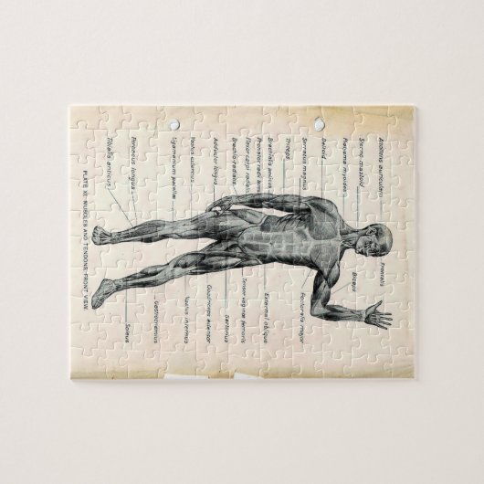  anatomieboekpagina's legpuzzel (Horizontaal)