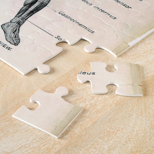  anatomieboekpagina's legpuzzel (Zijkant)