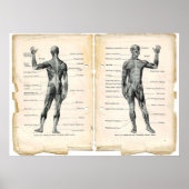  anatomieboekpagina's poster (Voorkant)