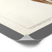  anatomieboekpagina's poster (Hoek)