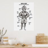 Anatomiediagram, spiergrafiek - Motivatie Poster (Keuken)