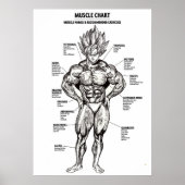 Anatomiediagram, spiergrafiek - Motivatie Poster (Voorkant)