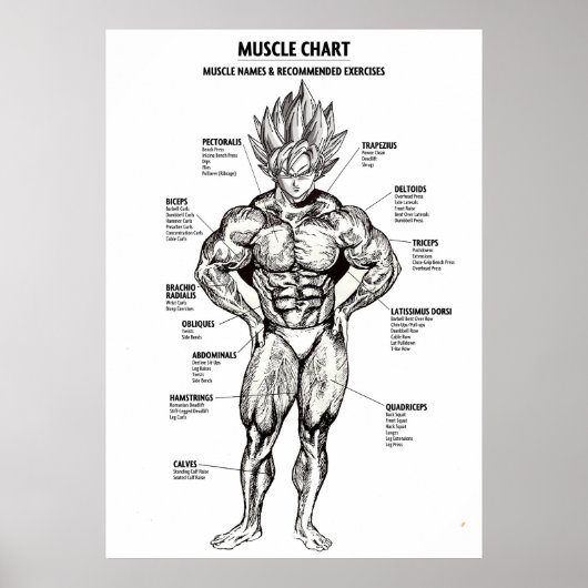 Anatomiediagram, spiergrafiek - Motivatie Poster (Voorkant)