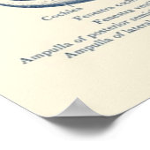 Anatomiediagram van het menselijk oor poster (Hoek)