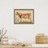 anatomiegrafiek 1917 Koe Poster (Keuken)