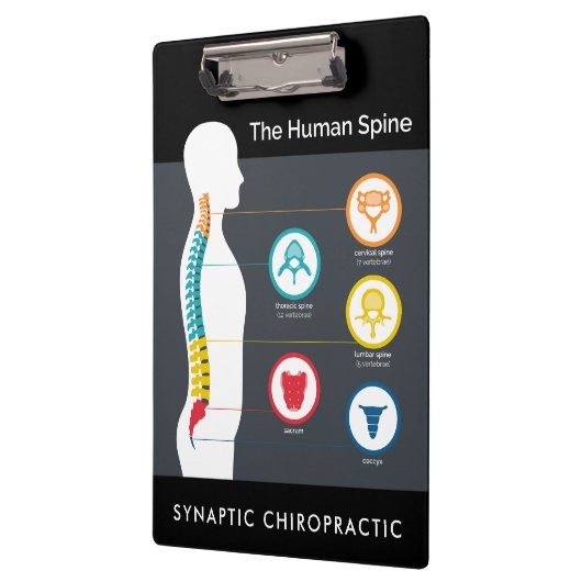 Anatomiegrafiek Klembord (Links)