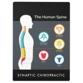 Anatomiegrafiek Klembord (Achterkant)