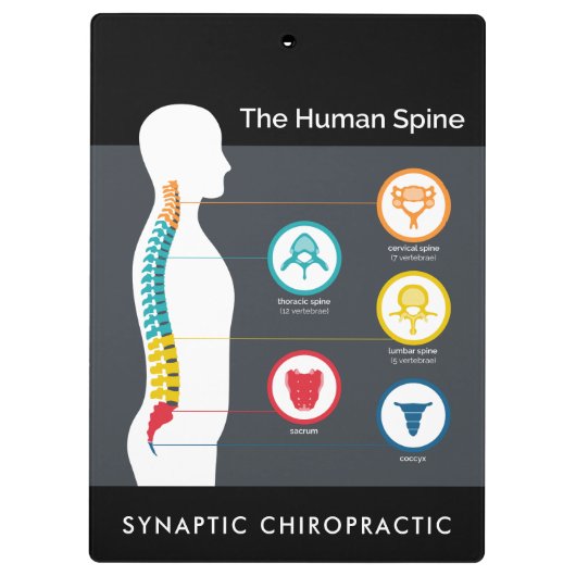 Anatomiegrafiek Klembord (Achterkant)