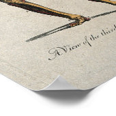 anatomiegrafiek poster (Hoek)