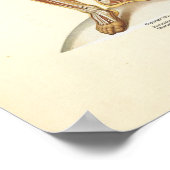 Anatomiegrafiek Poster (Hoek)