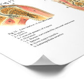 Anatomiegrafiek Poster (Hoek)