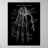 Anatomiekunst met menselijke hand poster (Voorkant)
