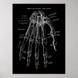 Anatomiekunst met menselijke hand poster