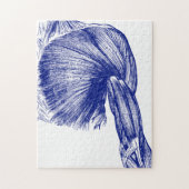  anatomiespieren op de borst legpuzzel (Verticaal)