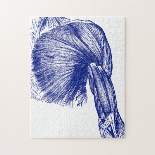 anatomiespieren op de borst legpuzzel (Verticaal)