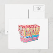 Anatomiestructuur en lagen van de muurmuur briefkaart (Voorkant / Achterkant)