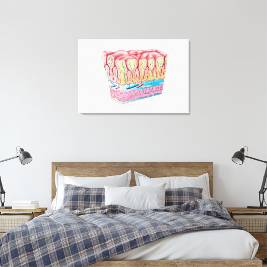 Anatomiestructuur en lagen van de muurmuur canvas afdruk (Insitu (Slaapkamer))