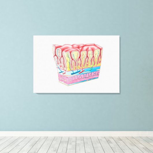 Anatomiestructuur en lagen van de muurmuur canvas afdruk (Insitu (Houten vloer))