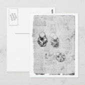  anatomietekening van een foetus briefkaart (Voorkant / Achterkant)