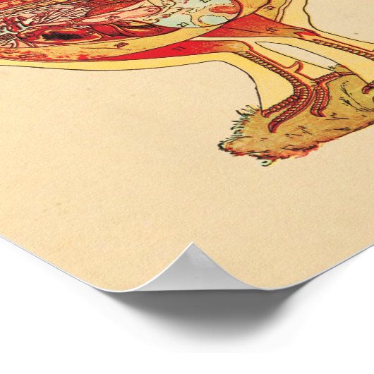 Anatomigenkaart Chicken Hen Poster (Hoek)