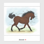 Anatomigenkaart voor paarden of Pony-ezels Sticker (Vel)