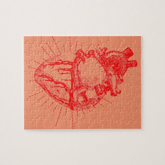 Anatomisch Collectie Rood en wit Legpuzzel (Horizontaal)