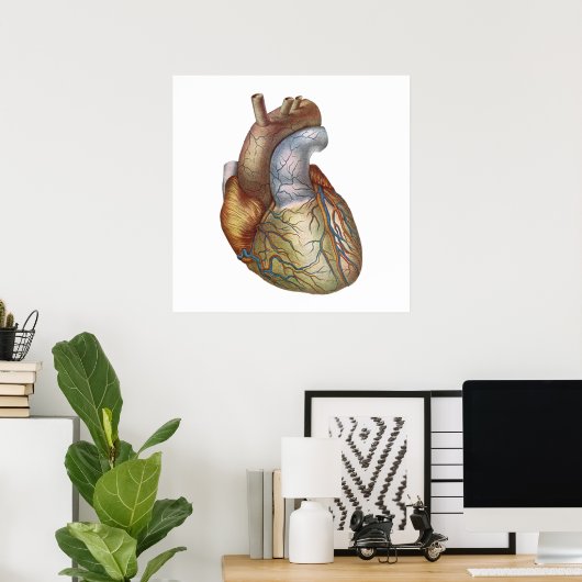 Anatomisch Corect Heart Poster (Thuiskantoor)