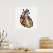Anatomisch Corect Heart Poster (Keuken)