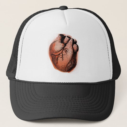 Anatomisch Correct Hart Trucker Pet (Voorkant)