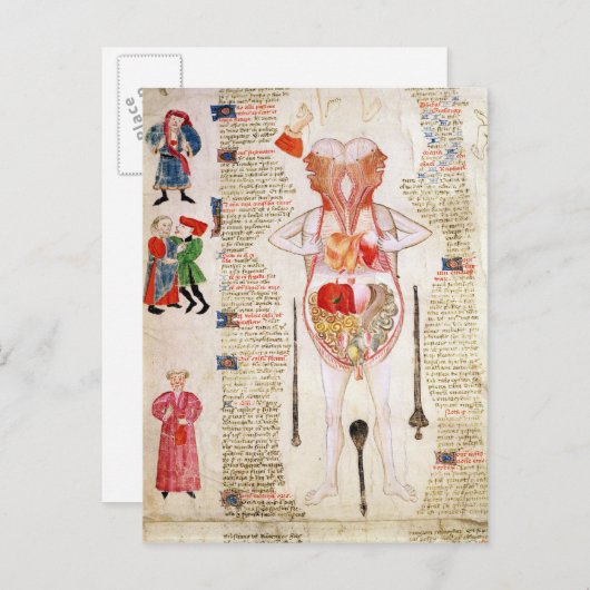 Anatomisch diagram briefkaart (Voorkant / Achterkant)