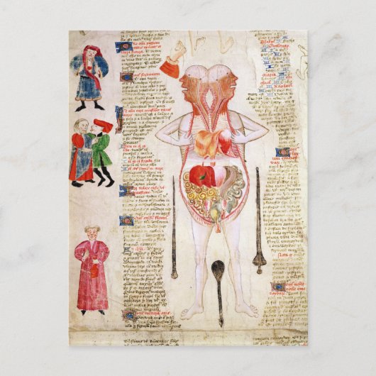 Anatomisch diagram briefkaart (Voorkant)