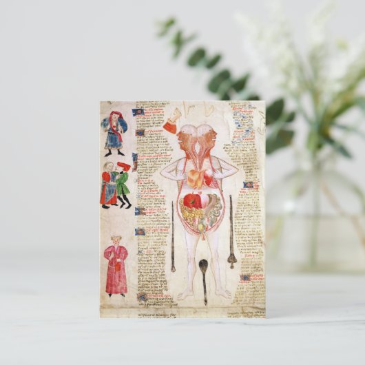 Anatomisch diagram briefkaart (Staand voorkant)