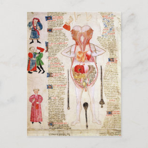 Anatomisch diagram briefkaart