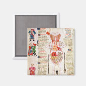 Anatomisch diagram magneet (Voorkant / Achterkant)