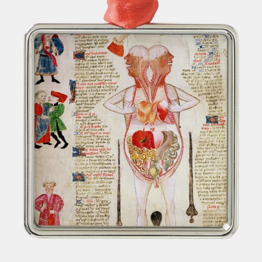Anatomisch diagram metalen ornament (Voorkant)