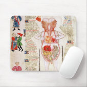 Anatomisch diagram muismat (Met muis)