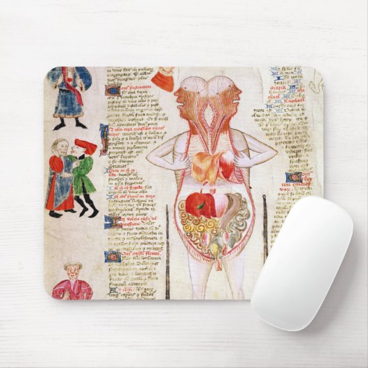 Anatomisch diagram muismat (Met muis)