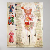 Anatomisch diagram poster (Voorkant)
