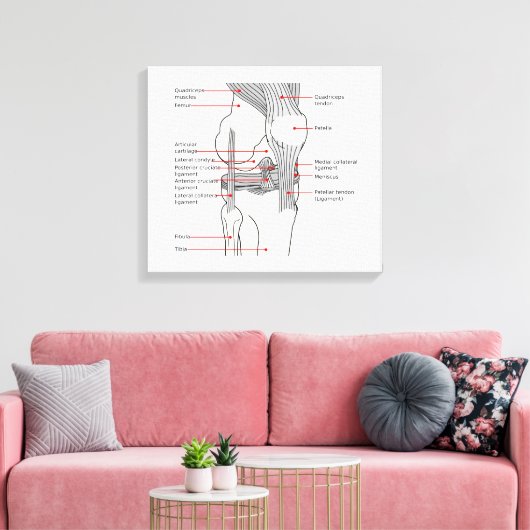 Anatomisch diagram rechtse kniegewricht canvas afdruk (Insitu (Woonkamer))
