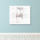 Anatomisch diagram rechtse kniegewricht canvas afdruk (Insitu (Houten vloer))