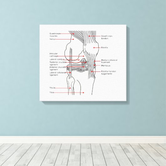 Anatomisch diagram rechtse kniegewricht canvas afdruk (Insitu (Houten vloer))