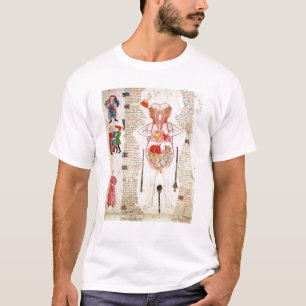 Anatomisch diagram t-shirt