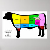 Anatomisch diagram van Amerikaanse oerbeeften Poster (Voorkant)