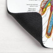 Anatomisch diagram van de hand en pols van de mens muismat (Hoek)