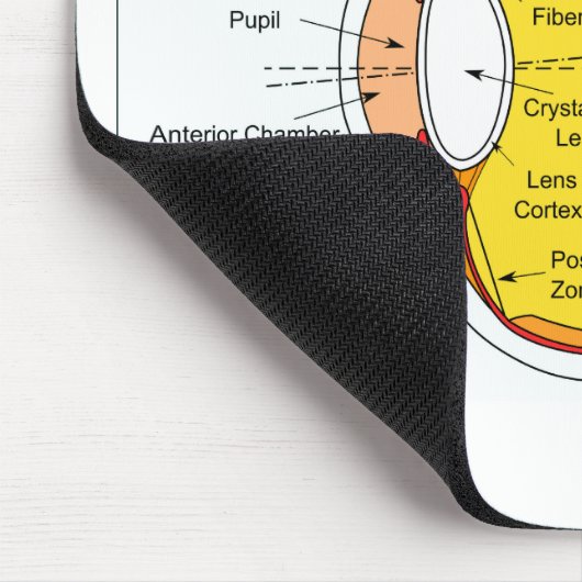 Anatomisch diagram van de humaan-oogbal muismat (Hoek)