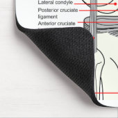 Anatomisch diagram van een gewricht van de rechter muismat (Hoek)