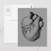 Anatomisch gecorrigeerd hart briefkaart (Voorkant / Achterkant)